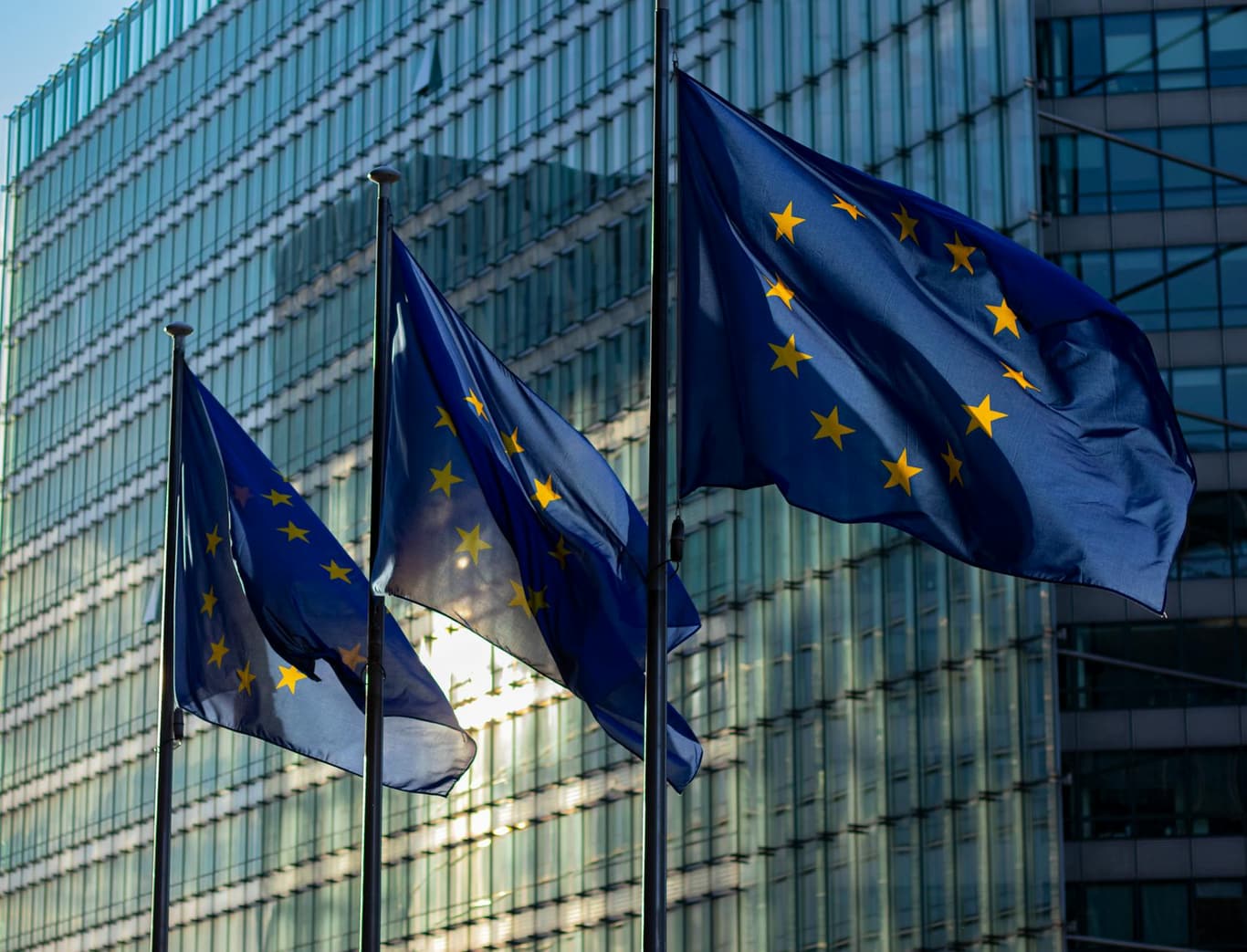 Flaggen der EU-Mitgliedstaaten vor dem Gebäude einer Regulierungsbehörde